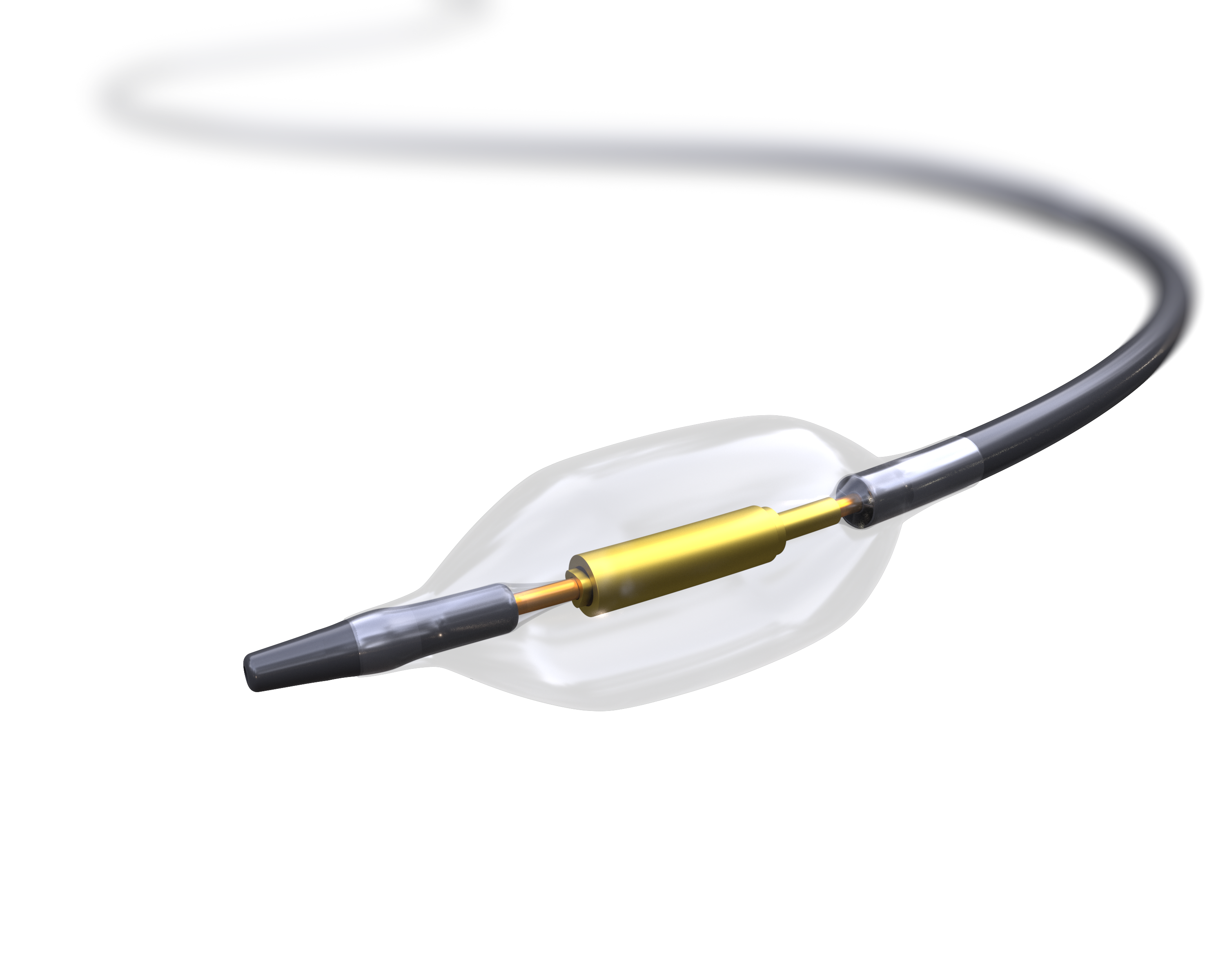 1. Paradise Catheter_Hero Image.png